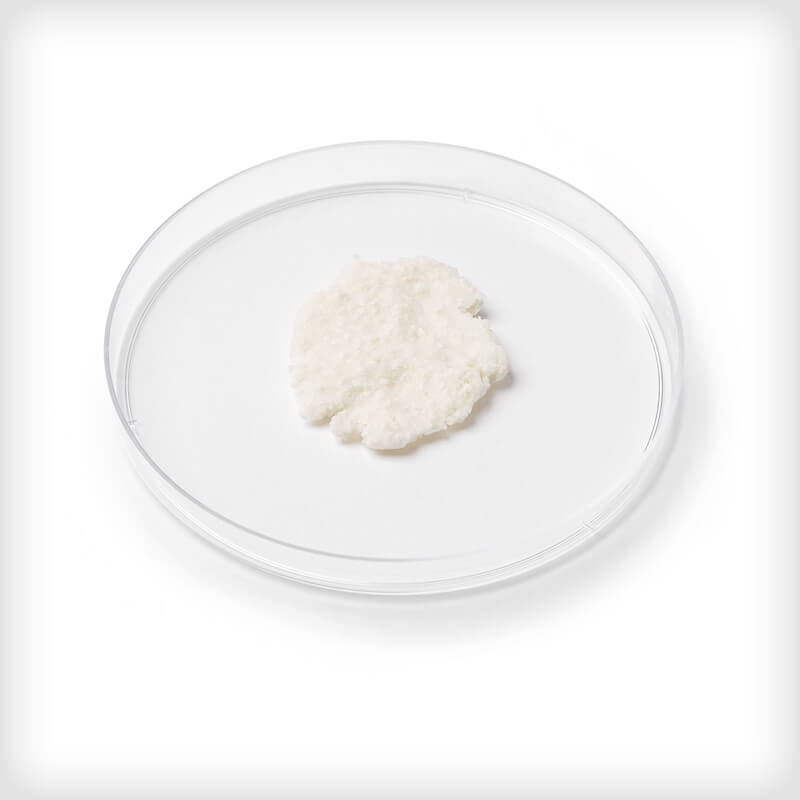 ACTIGLASS Synthetic Bioactive Putty