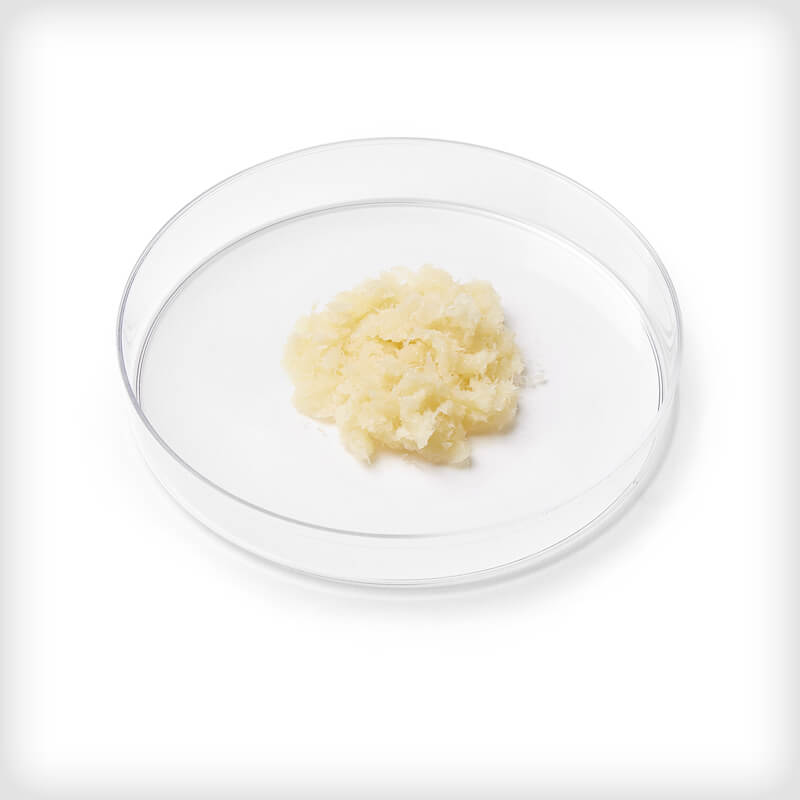 ACTISTIM Demineralized Fiber Putty
