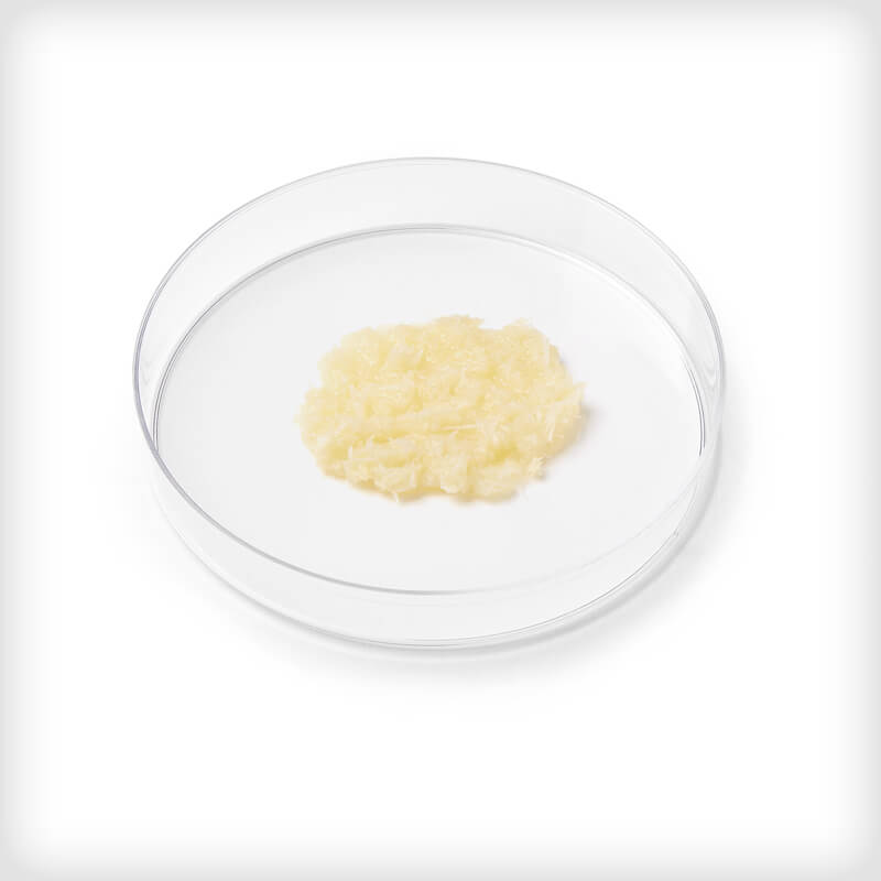 ACTIVI Fiber Viable Bone Matrix