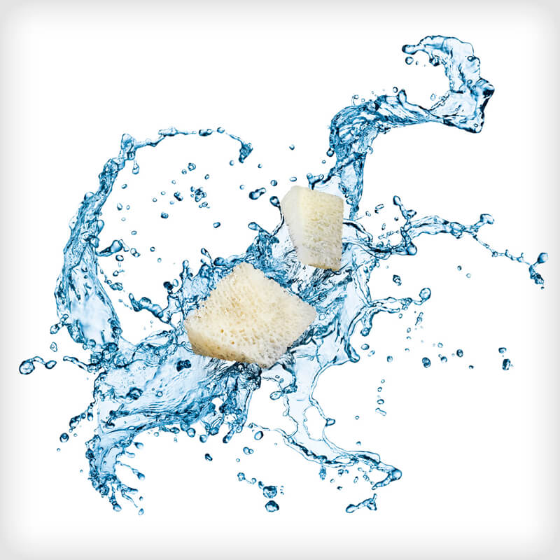 Pre-Hydrated Evans & Cotton Wedges